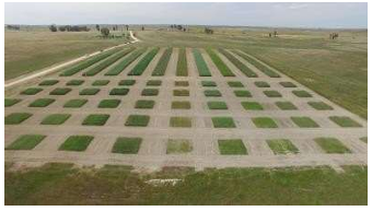 DEMONSTRAÇÃO EM FORRAGENS, CEREAIS E PASTAGENS ENSAIOS DE CAMPO