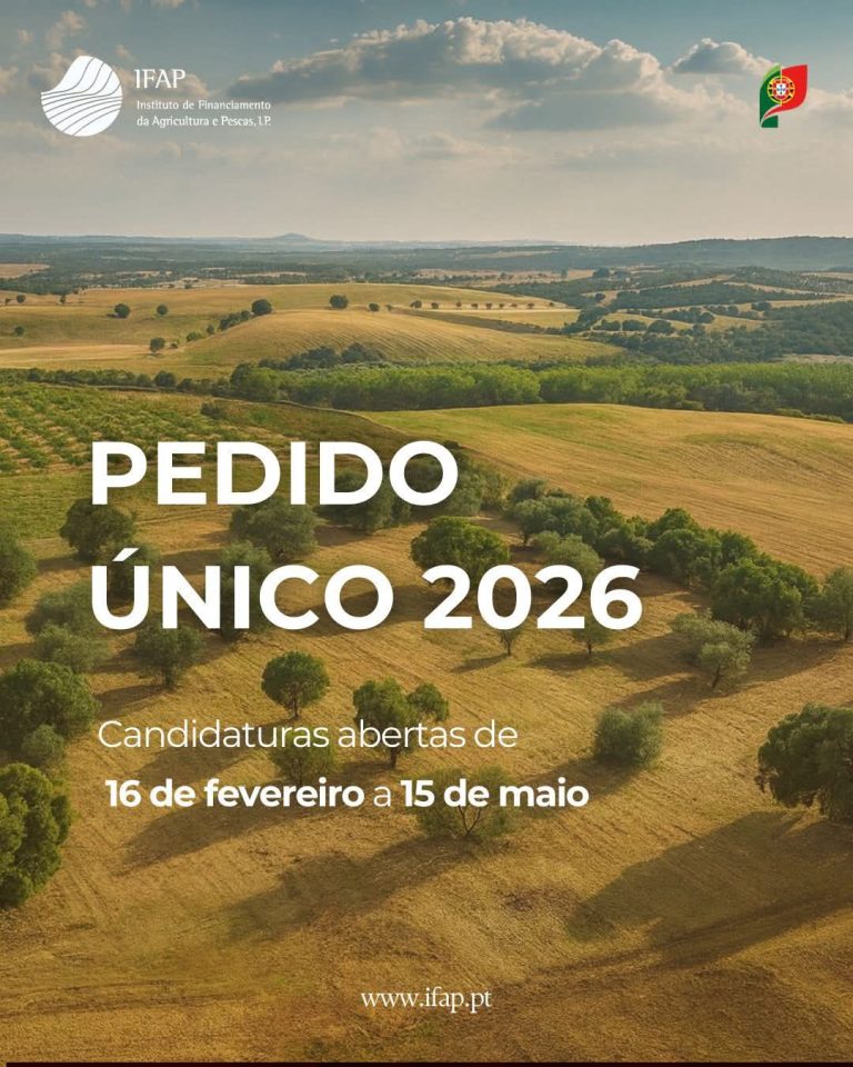 PEDIDO ÚNICO 2026